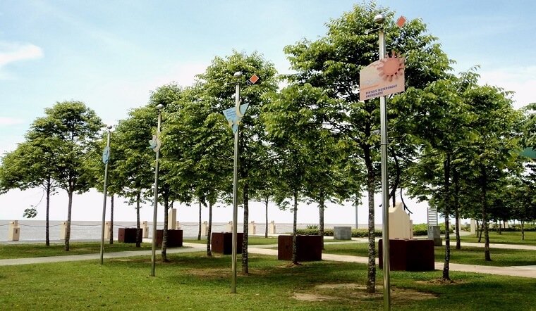 Top 10 Cây Bóng Mát Lý Tưởng Biến Công Trình Đô Thị Thành Không Gian Xanh Mát