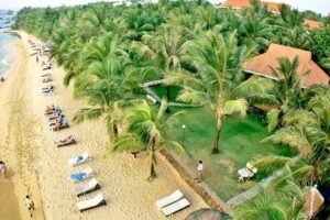 Thi Công Cảnh Quan Khu Vui Chơi Giải Trí - Phúc Nguyên Garden